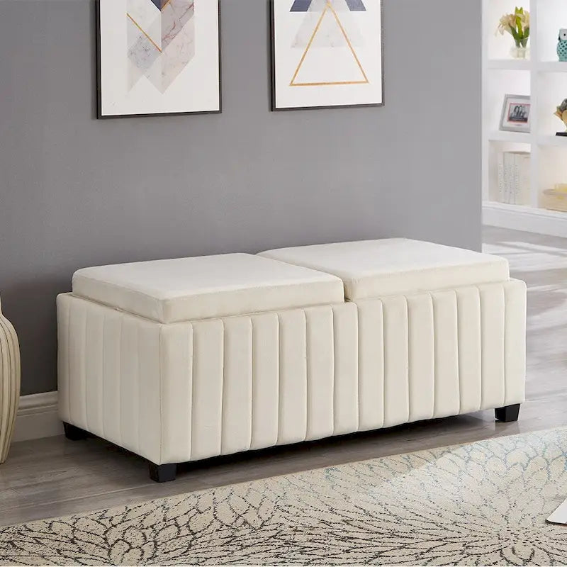 Panca Contenitore Imbottita per Camera da Letto, Salotto